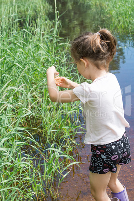 Water samples for a biology lesson