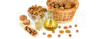 Oil of walnut and hazelnut, nuts fruit isolated on white backgro