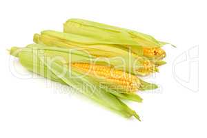 Corn cob isolated on white background.
