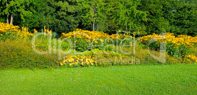Summer park with beautiful flower beds. Wide photo.