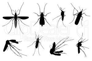 Set of different mosquitoes