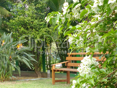 Wooden bench in the garden, surrounded by flowers and green forest.