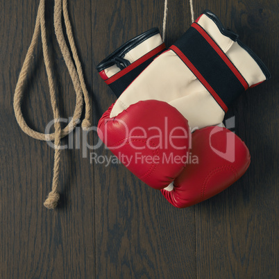 Boxing gloves and skipping rope