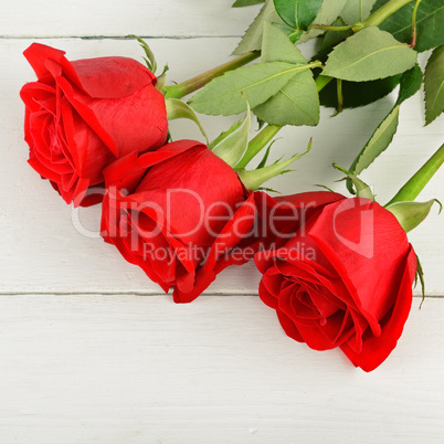 Beautiful red roses on a white wooden background. Flat lay, top