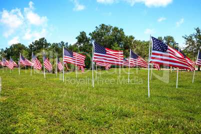 Patriotic display of multiple large American flags