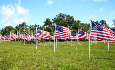 Patriotic display of multiple large American flags