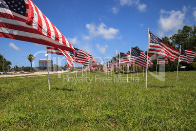 Patriotic display of multiple large American flags