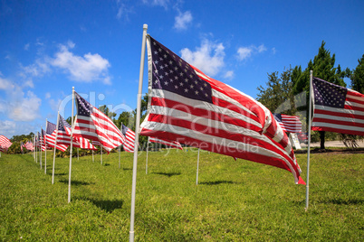 Patriotic display of multiple large American flags