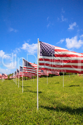 Patriotic display of multiple large American flags