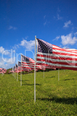 Patriotic display of multiple large American flags