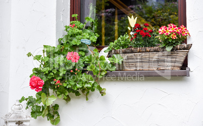 Ein Garten mit Hütte mit Blumen im Sommer