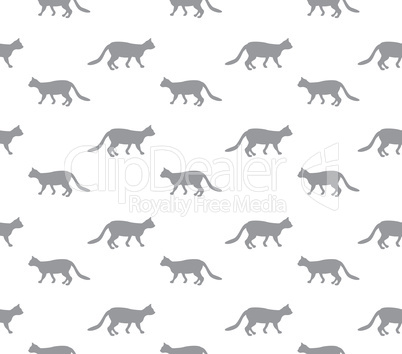 Cat seamless pattern. Walking kitten background.