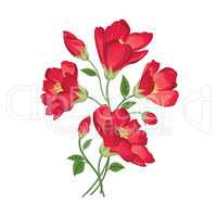 Flower bouquet. Floral frame. Flourish greeting card.