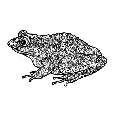 Frog isolated. Ornamental doodle line patterned reptile animal.