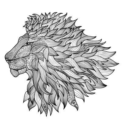 Lion face isolated. King animal patterned line drawn illustration