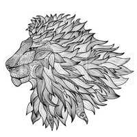 Lion face isolated. King animal patterned line drawn illustration