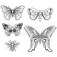Butterfly set. Floral wildlife tropical insect doodle sketch collection.