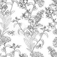 Floral seamless pattern. Flower branch engraved background.