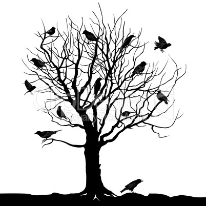 Birds over tree. Forest landscape. Wild nature silhouette