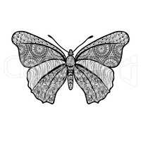 Butterfly isolated. Summer holiday floral element, oriental pattern