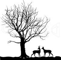 Animal deer over tree Forest landscape. Wild nature silhouette