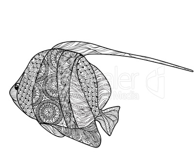 Fish isolated with ornamental pattern. Doodle marine life illustration