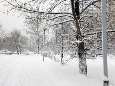 city park after snowfall at day