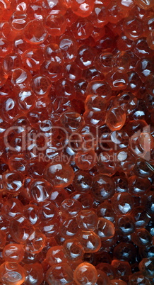 red caviar at day