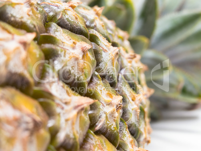 Close view of the peel of pineapple with pesticide.