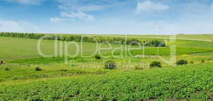 Hilly green field and windmill on blue sky background. Wide phot
