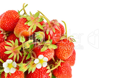Strawberries isolated on white background. Free space for text.