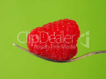 Close up of an organic raspberry