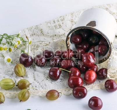 scattered ripe red berries cherries from a white iron mug