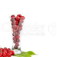 Appetizing cherry isolated on white background. Free space for t