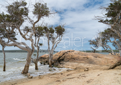 Stokes National Park, Western Australia