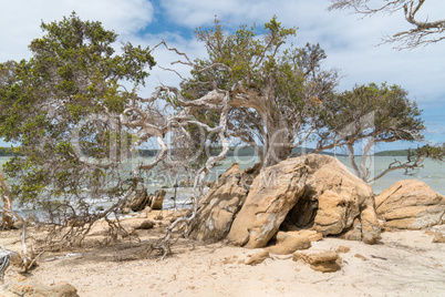 Stokes National Park, Western Australia