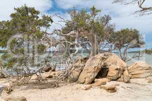 Stokes National Park, Western Australia