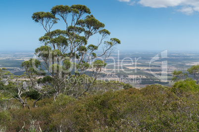 Porongurup National Park, Western Australia