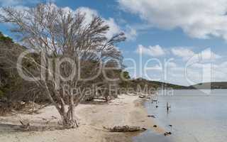 Fitzgerald River National Park, Western Australia