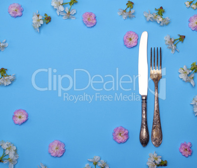 iron fork and knife on a blue background