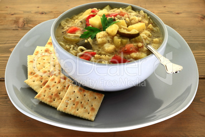 Vegetable gourmet soup