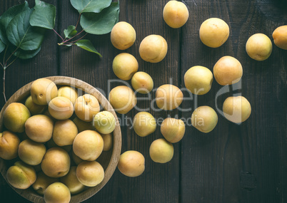 ripe apricots scattered on a brown wooden table