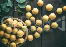 ripe apricots scattered on a brown wooden table