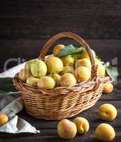 Ripe apricots in a brown wicker basket