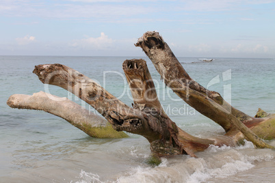 Dalmikanischer Strand