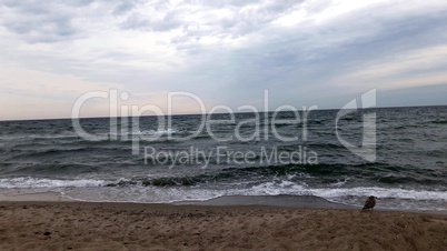 Ostsee.Morgens am Strand.