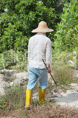 Farmer cleaning land