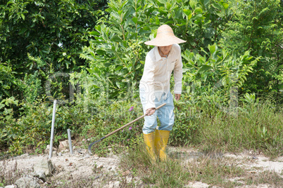 Old Asian farmer cleaning land.