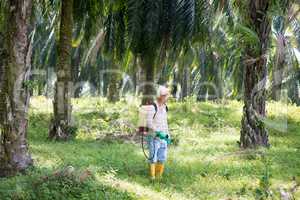 spraying herbicides at oil palm