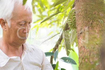 Worker and durian tree.